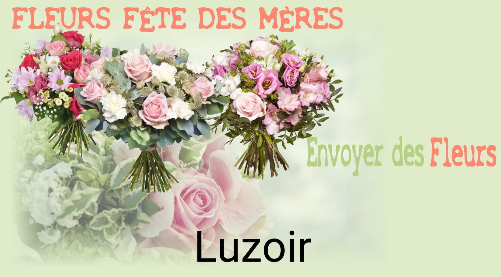 Bouquet de Fête des Mères livré à Luzoir